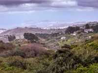 Gran Canaria